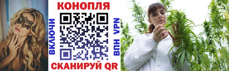 Где продают наркотики Карабаново А ПВП  Бутират  Вейп ТГК  Канабис  Cocaine  Гашиш 