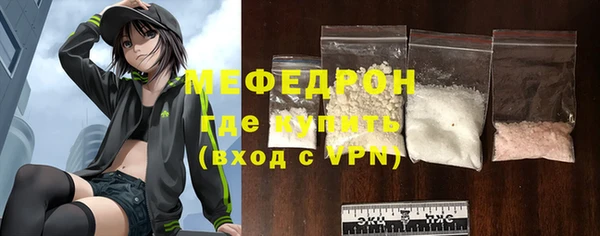 индика Ельня