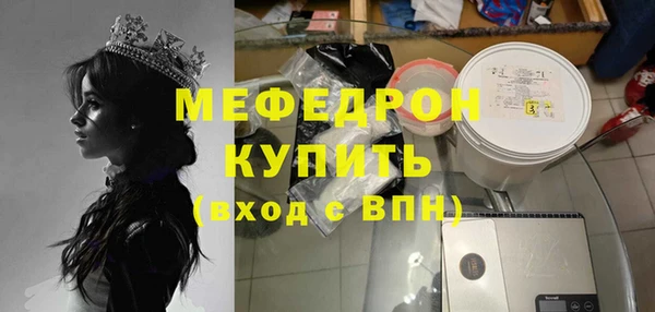 индика Ельня