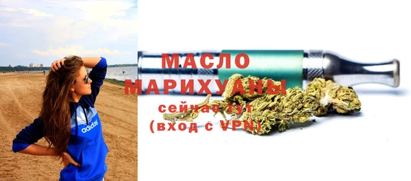 индика Ельня