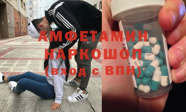 индика Ельня