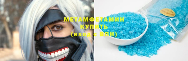 индика Ельня