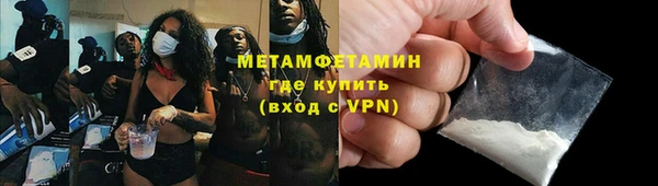 индика Ельня