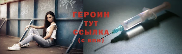 индика Ельня