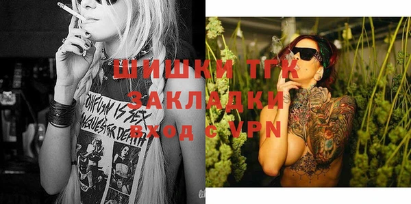 индика Ельня