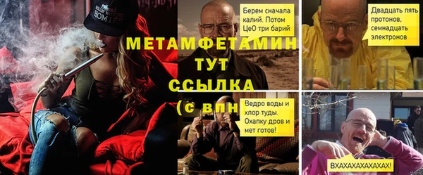индика Ельня