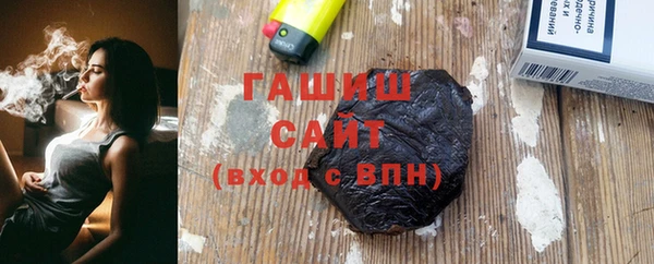индика Ельня