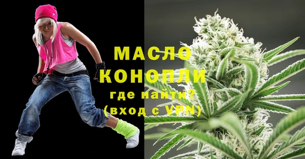 индика Ельня