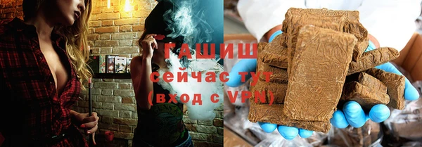 индика Ельня