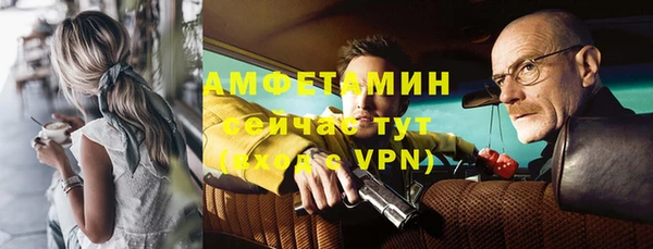 индика Ельня