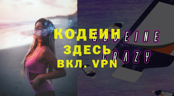индика Ельня